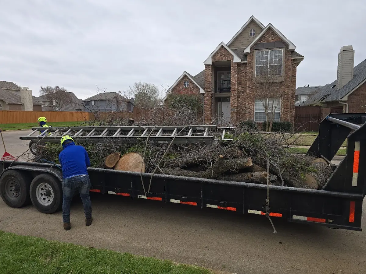 Expert Lot Clearing with proper safety equipment in Reed Point